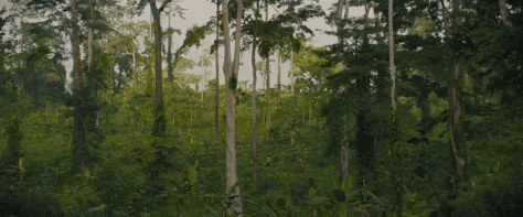 Screen Shot 2015-10-20 at 12.08.32 PM